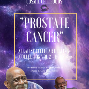 "PROSTATE CANCER" Alkaline Cellular Healing Collection Vol 2 - BOOK  3