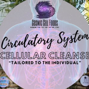 Circulatory System Cellular Therapy Cleanse