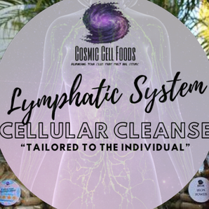 Lymphatic System Cellular Therapy Cleanse