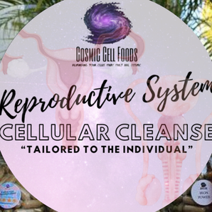 Reproductive System Cellular Therapy Cleanse