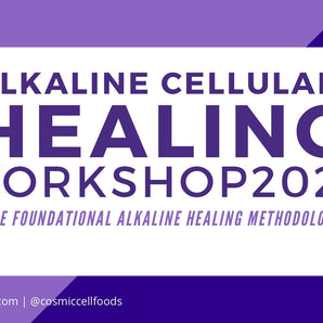 Alkaline Cellular Healing Workshop - Start a Health/Beauty Business using the Alkaline Methodology - The Cosmic Chef