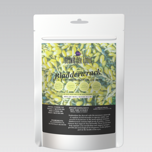 Bladderwrack Organic Herbal Tablets - Daily Supplement To Regulate the Thyroid and Metabolism