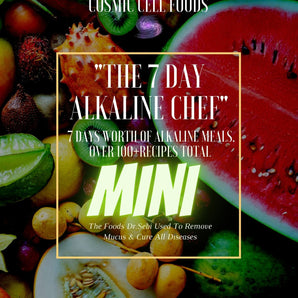 "The 7 Day Alkaline Chef" Mini Cookbook - 7 Days Worth Of Alkaline Meals - The Cosmic Chef