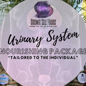 Urinary System Cellular Nourishing Package